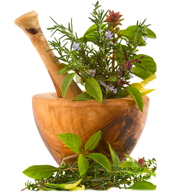 about-natural-herbals-healthcare