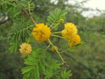 recent-project-img-1